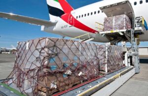 DDP Cargo from India